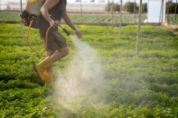 Best Best Pest Control Companies  in Arnold, MO